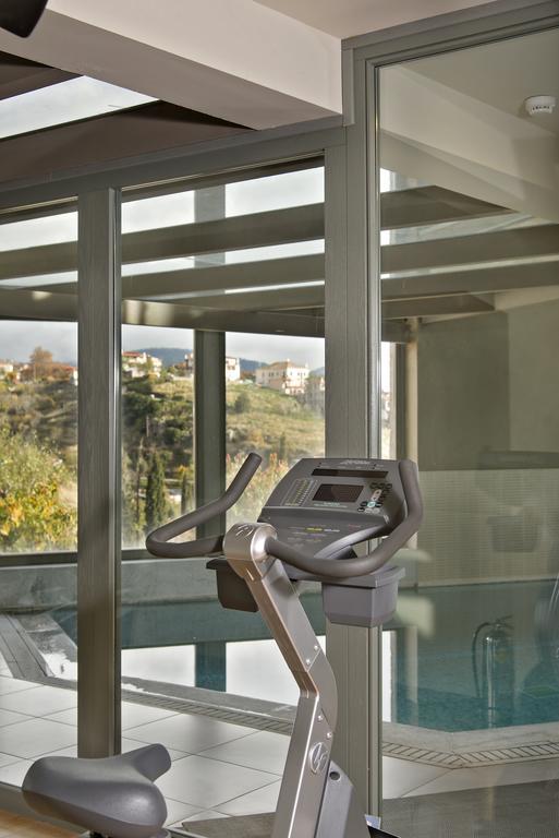 Aegli Arachova Otel Dış mekan fotoğraf